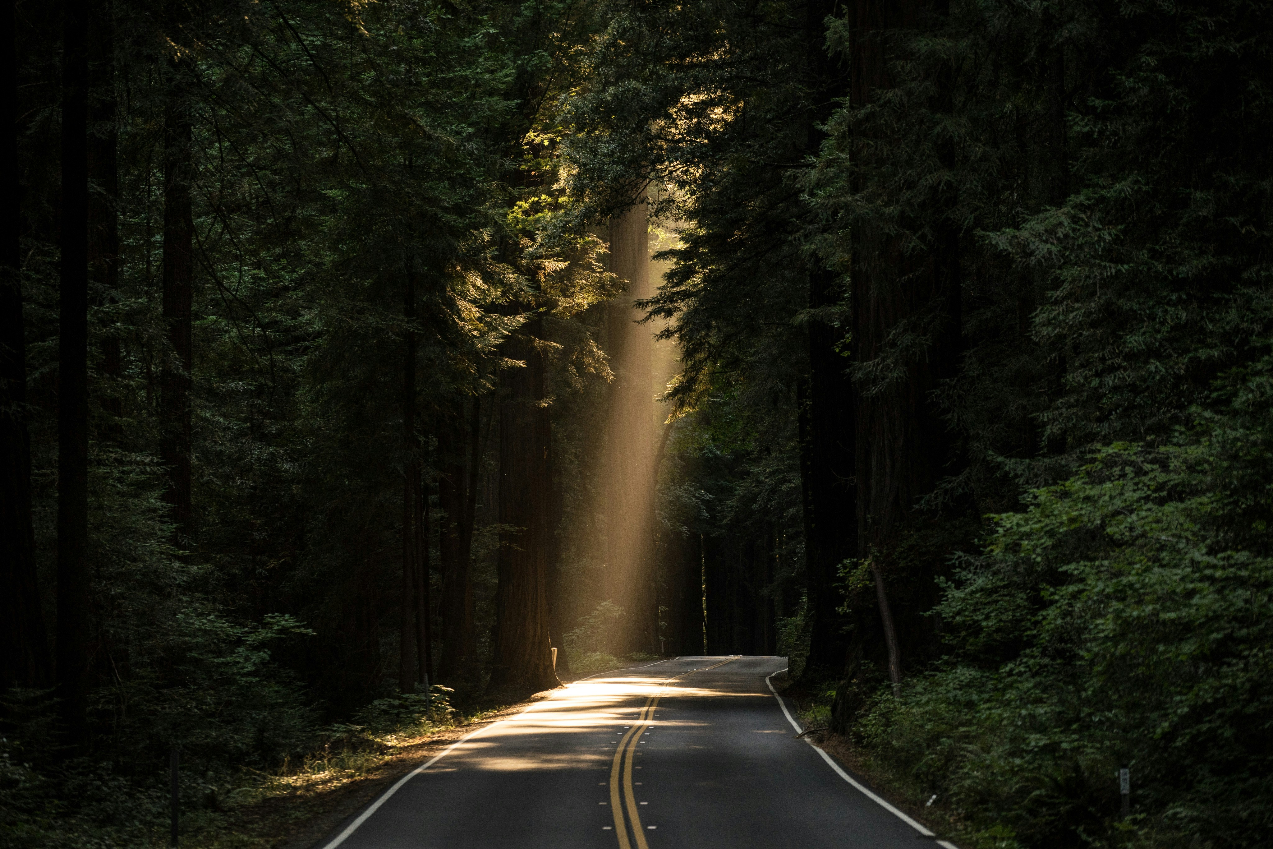 The Sufficiency of Scripture: Hope That Changes Everything hope post