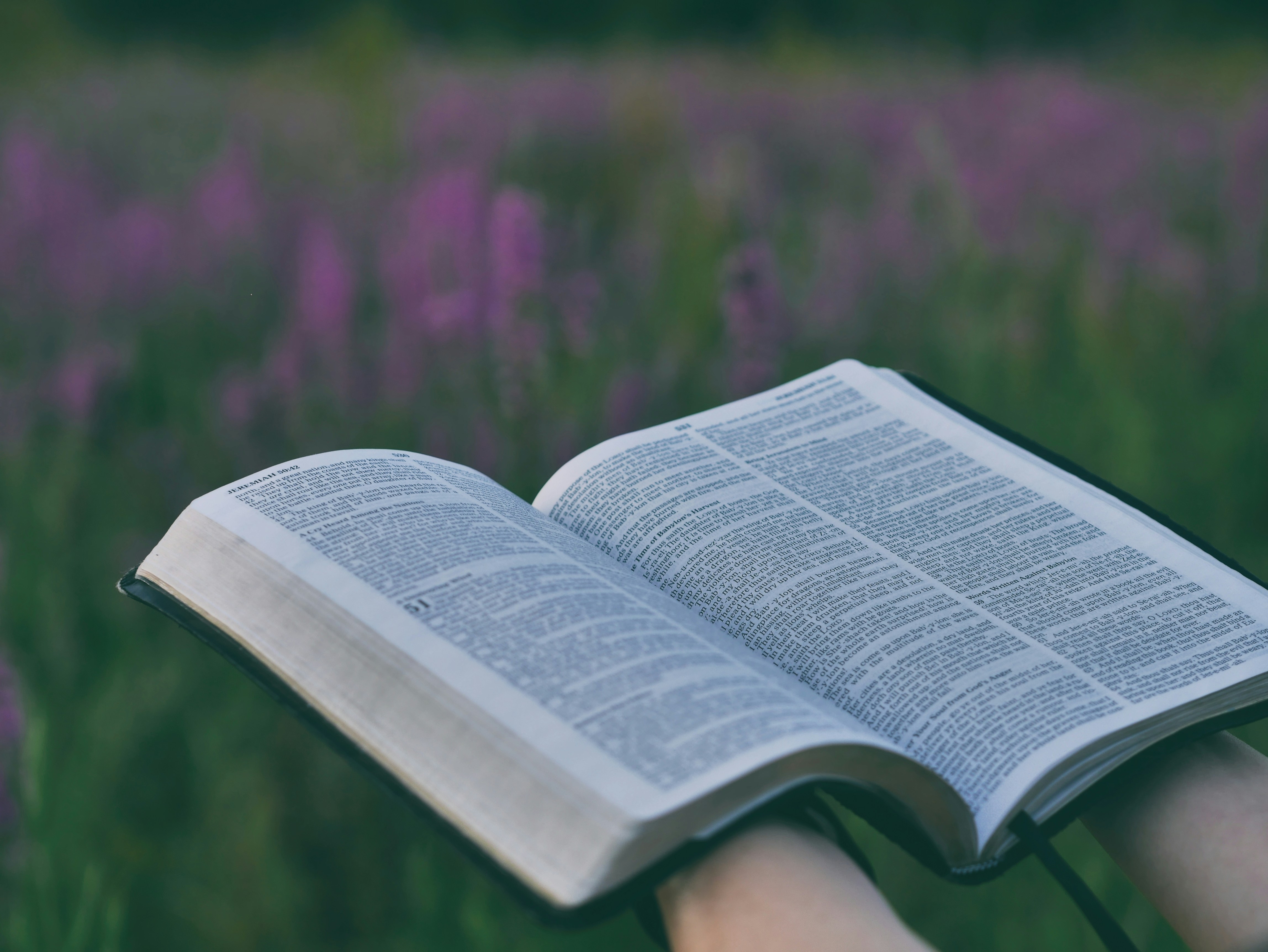 Blog Featured image for “The Use of Scripture: The Power of Spoken Truth”