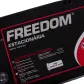 Bateria Estacionária Freedom DF2500 12V 150Ah