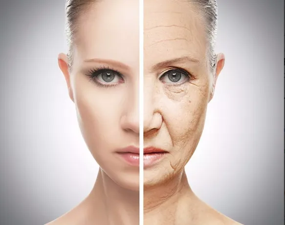 Maxsolve - Coenzima Q10 20% Em Nanoemulsão - Frasco 20ml