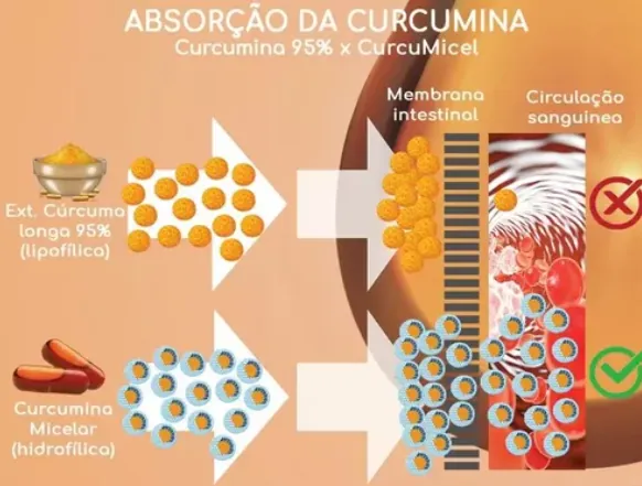 Curcumicel - Curcumina Micelar Líquida - Frasco Gotejador