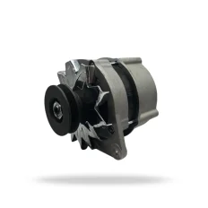 Alternador F1000 Motor 229 79-91 Corcel Del Rey Pampa 120ah
