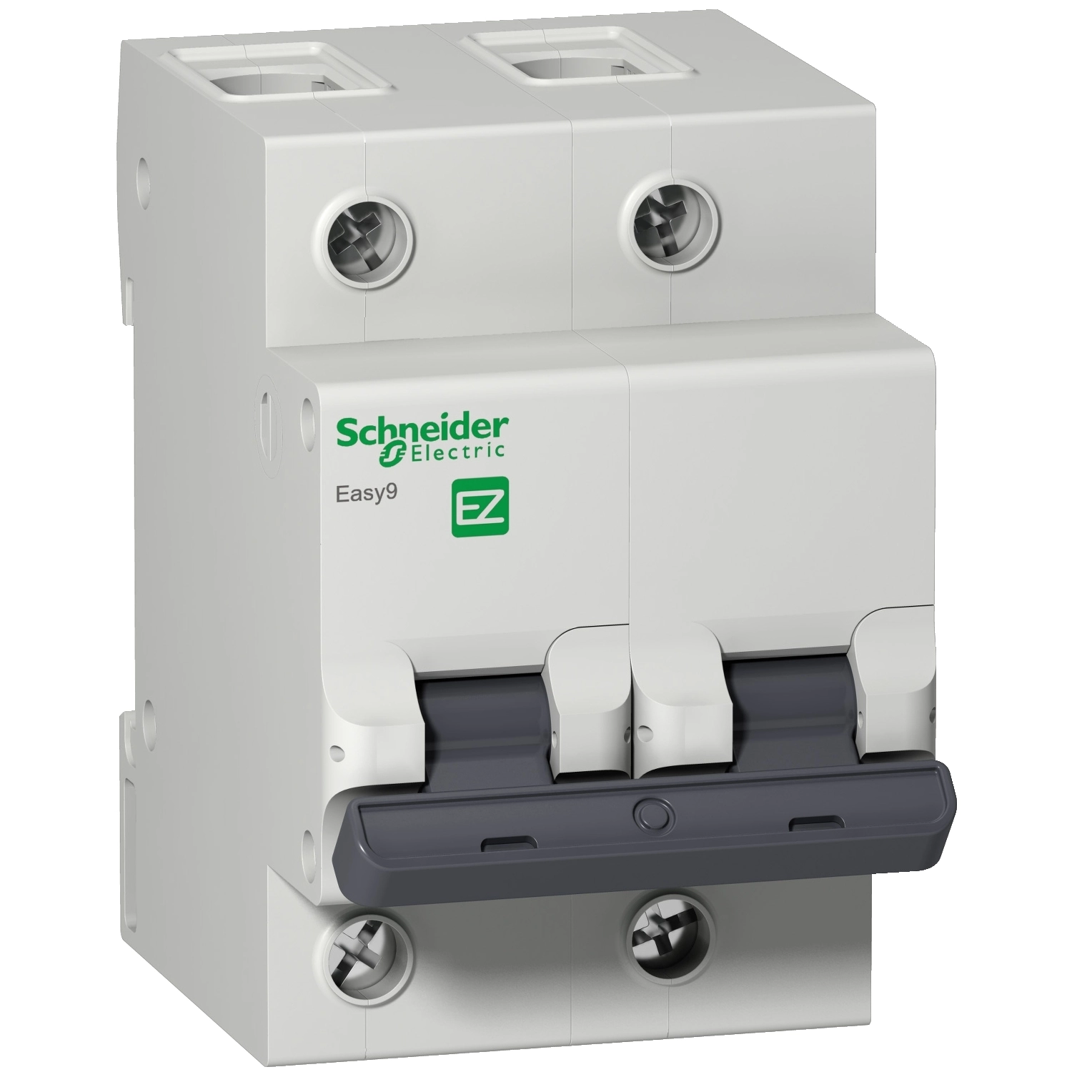 Disjuntor Bifásico 100A Curva C 4,5kA EASY9 EZ9F33291 Schneider