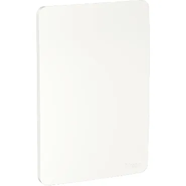Placa 4X2 Cega Orion S730100004 Schneider