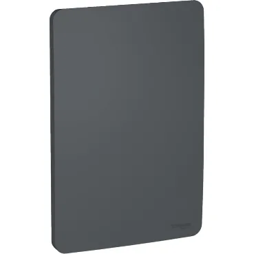 Placa 4X2 Cega Stellar Preto Orion S730100294 Schneider