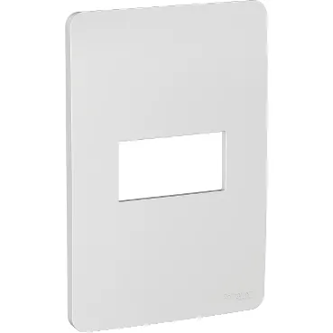 Placa 4X2 Gamma Silver Orion S730101274 Schneider