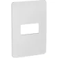 Placa 4X2 Gamma Silver Orion S730101274 Schneider