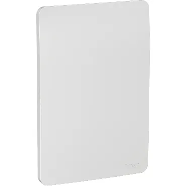 Placa Cega Gamma Silver Orion S730100274 Schneider