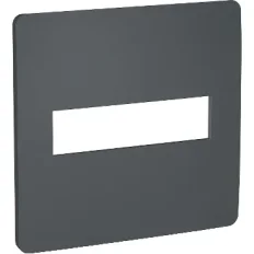 Placa 4X4 2 Postos Orion Stellar Black S730201294 Schneider