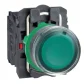 Botão Luminoso Verde Sem Lampada 250V XB5AW3365 Schneider