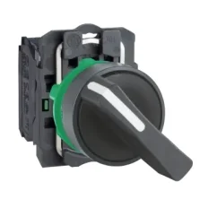Chave Seletora 2 Posições 22MM XB5AJ21 Schneider 