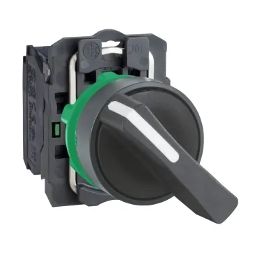 Chave Seletora 2 Posições 22MM XB5AJ21 Schneider 