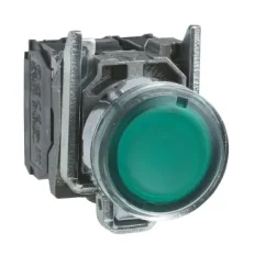 Botão Luminoso Retorno Por Mola Verde 22MM XB4BW3365 Schneider 