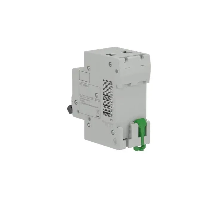 Disjuntor Bifásico 50A 6KA EZ9F56250-BR Schneider 