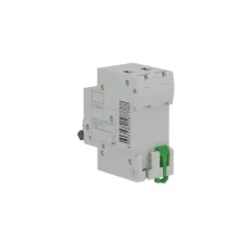 Disjuntor Bifásico 50A 6KA EZ9F56250-BR Schneider 
