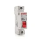 Disjuntor Monofásico 16A SDD61C16 STECK 