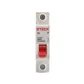 Disjuntor Monofásico 16A SDD61C16 STECK 