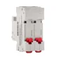 Disjuntor Bifásico 50A SDD62C50 Steck 