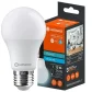 Lampada LED Bulbo 12W 6500K 7023346 Ledvance 