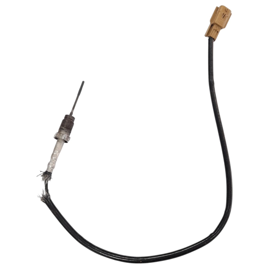 Sonda do catalisador Master 2.3 2017