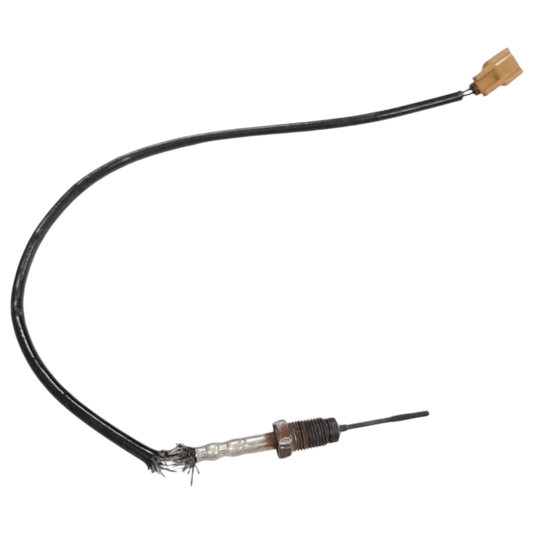 Sonda do catalisador Master 2.3 2017