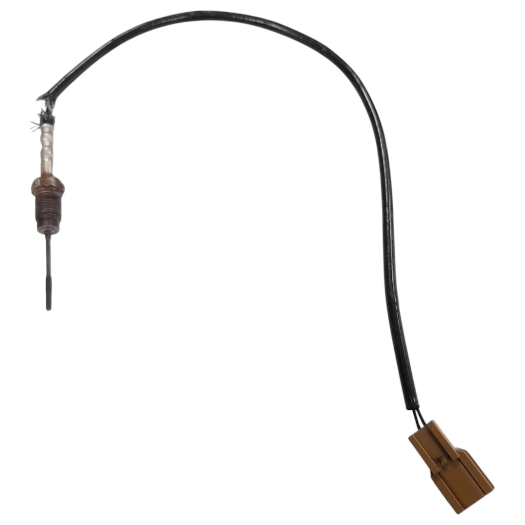 Sonda do catalisador Master 2.3 2017
