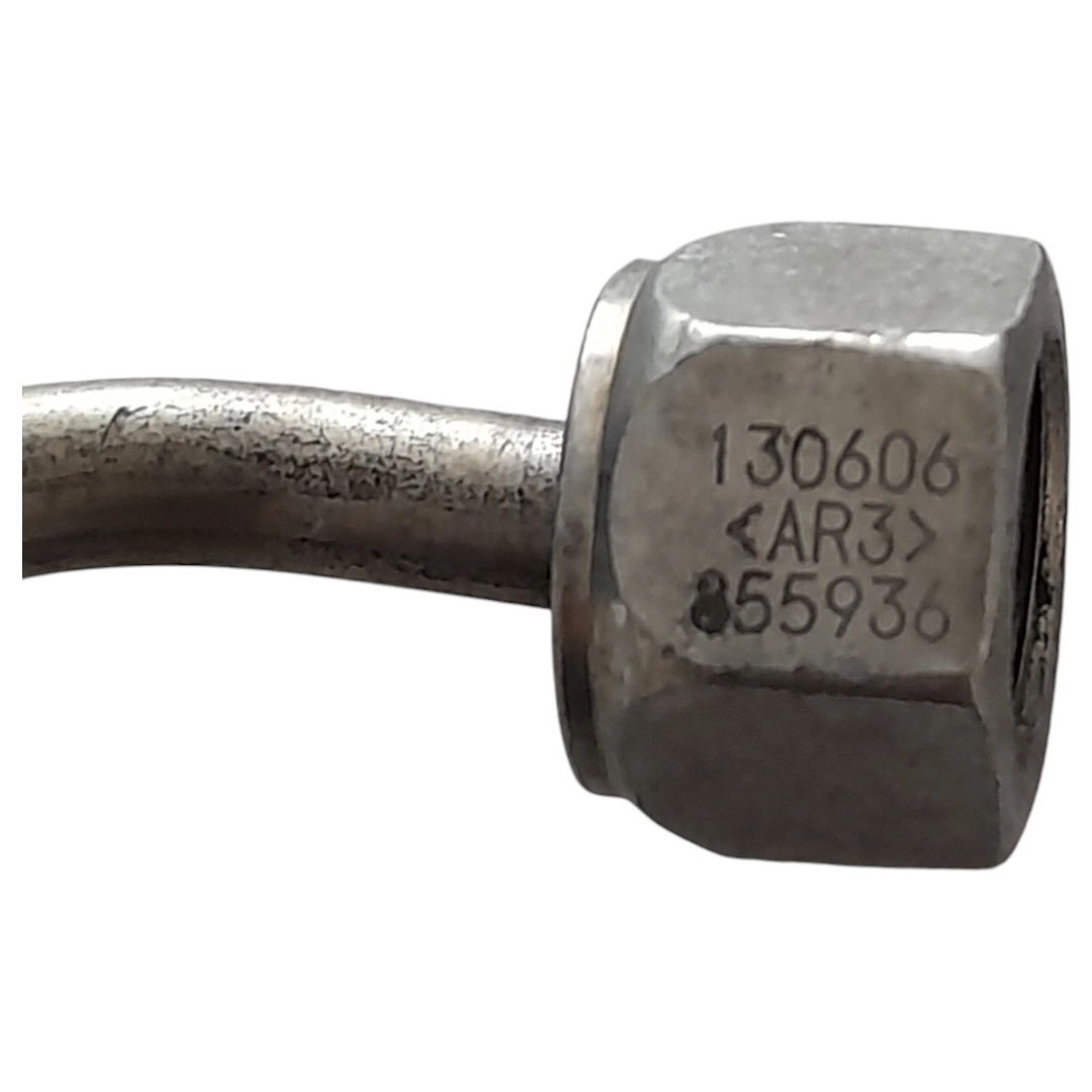 Cano de bico Master 2.3 2017