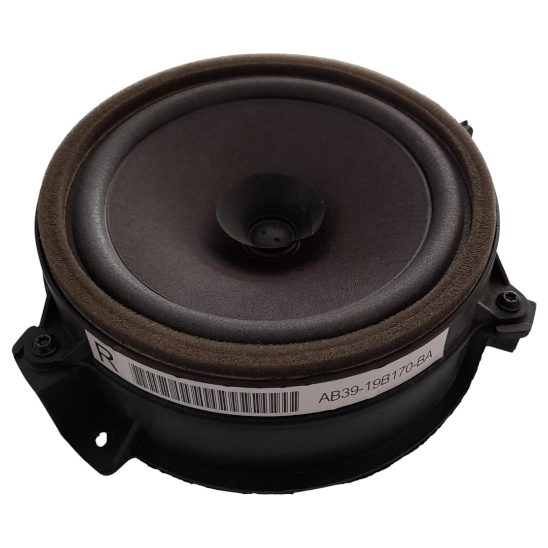 Alto falante da porta traseira direita Ranger 3.2 XLT 2019 aut