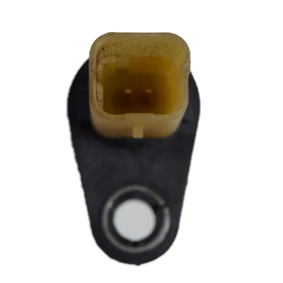 Sensor Rotação Master 2.3 19/20