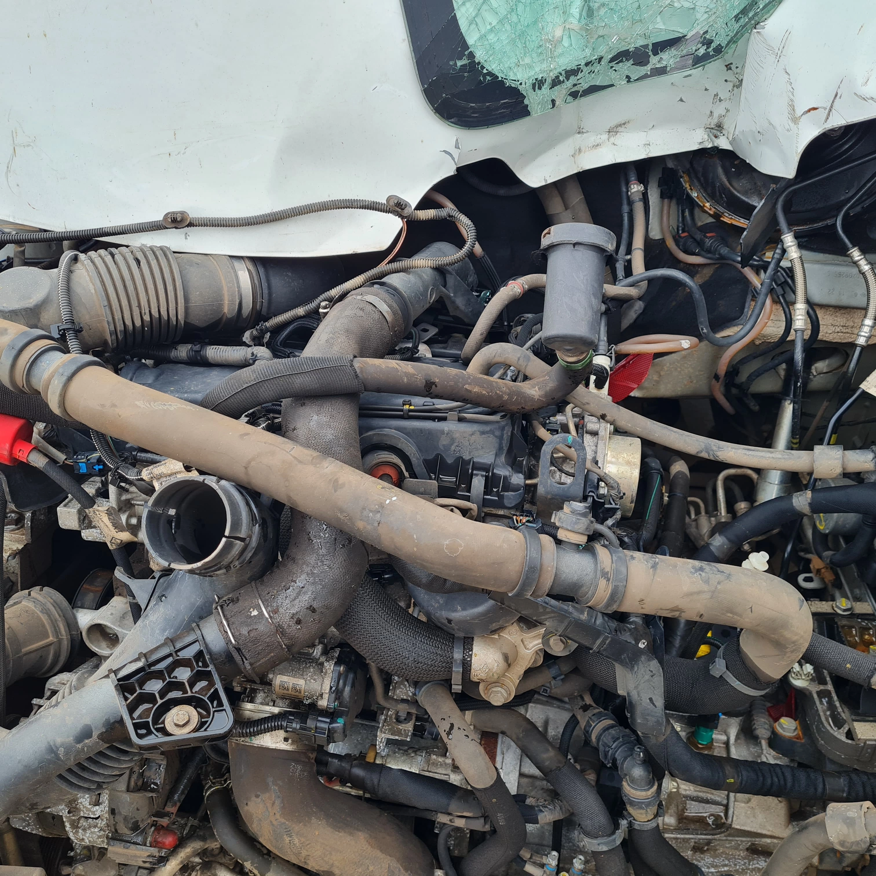 Sucata de Renault Master 2022/2023 2.2 Manual