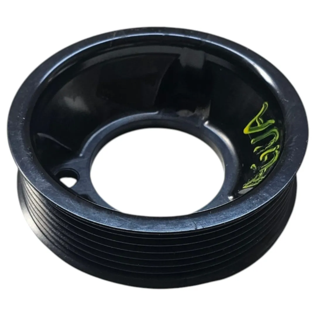 Polia bomba água Master 2.3 2020