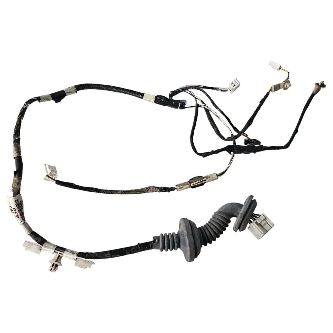 Chicote da porta traseira esquerda Hilux SW4 2.8 177cv 2020