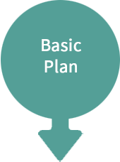 NoonPi – Basic Plan NoonPi - Basic Plan