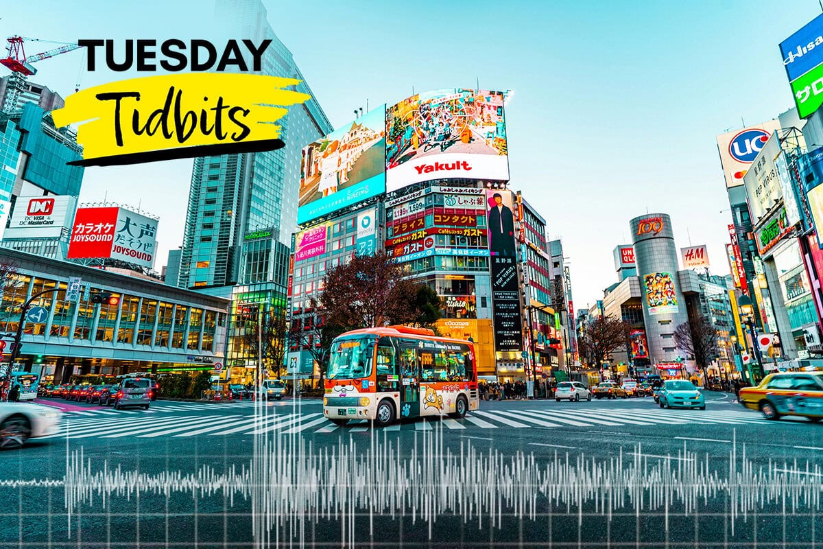 Japan’s Unique Earthquake Mitigation Techniques