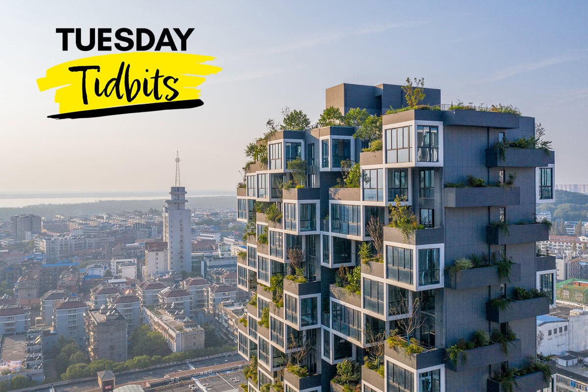 Tuesday Tidbits