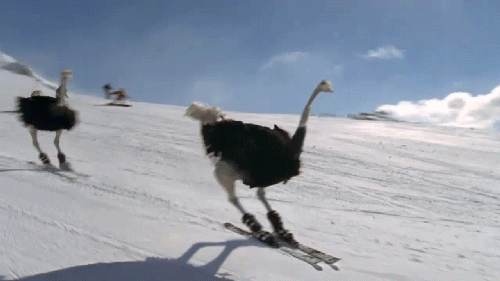Triple Jump