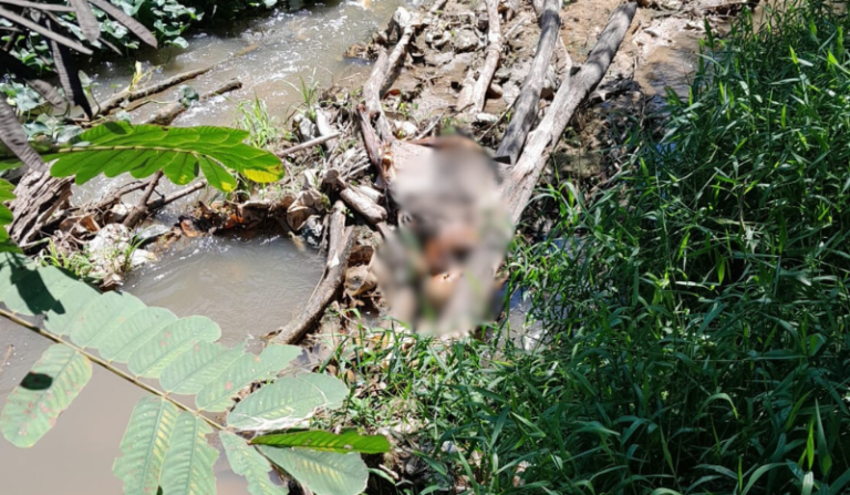 Ossada humana é encontrada em igarapé no Distrito Industrial