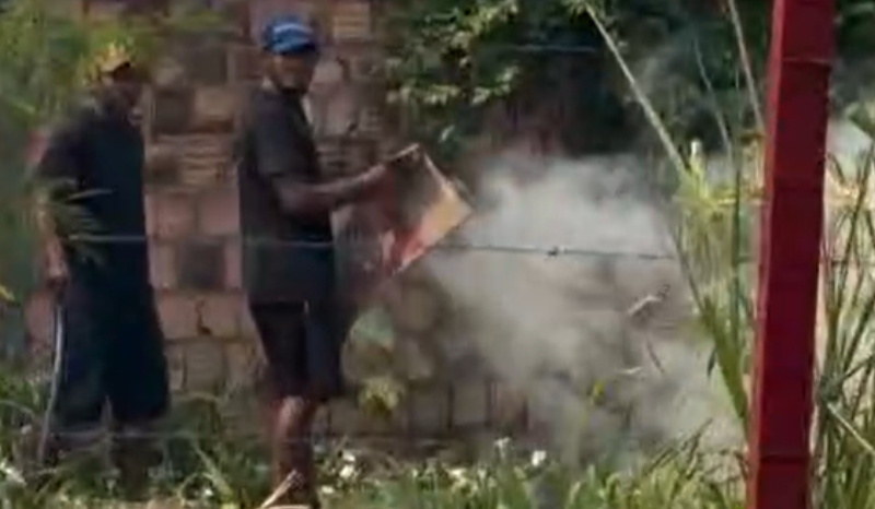 Vídeo: dupla é flagrada ateando fogo em área de mata na Avenida das Torres