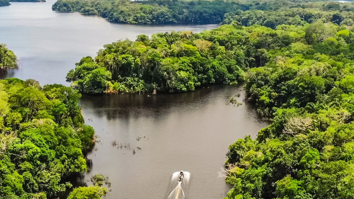 Festival AMÁ conecta saberes amazônicos, inovação e empreendedorismo em Novo Airão