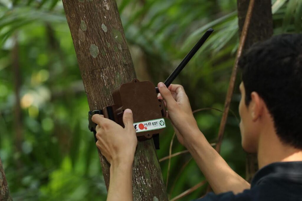 UEA divulga programação da Semana do Meio Ambiente