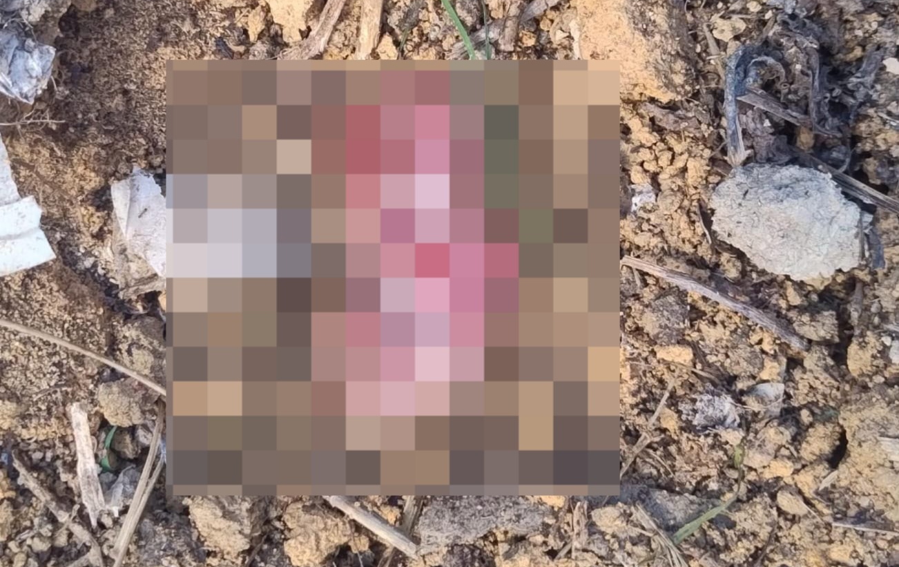 Feto é encontrado em terreno baldio no bairro João Paulo