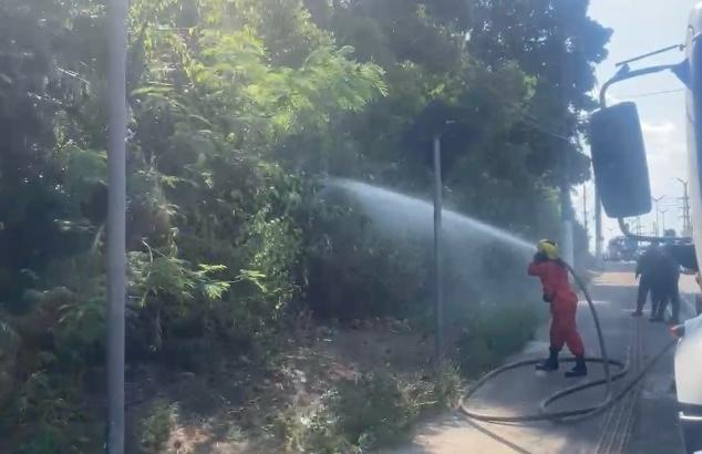 Vídeo: Incêndio atinge área de mata do INPA