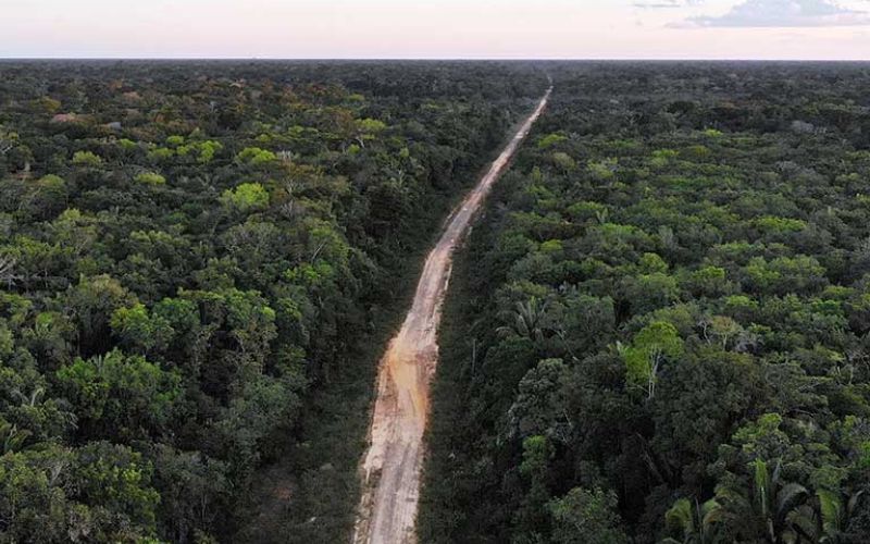 Deputado propõe ‘Carta da BR-319’ para asfaltamento e desburocratização da rodovia