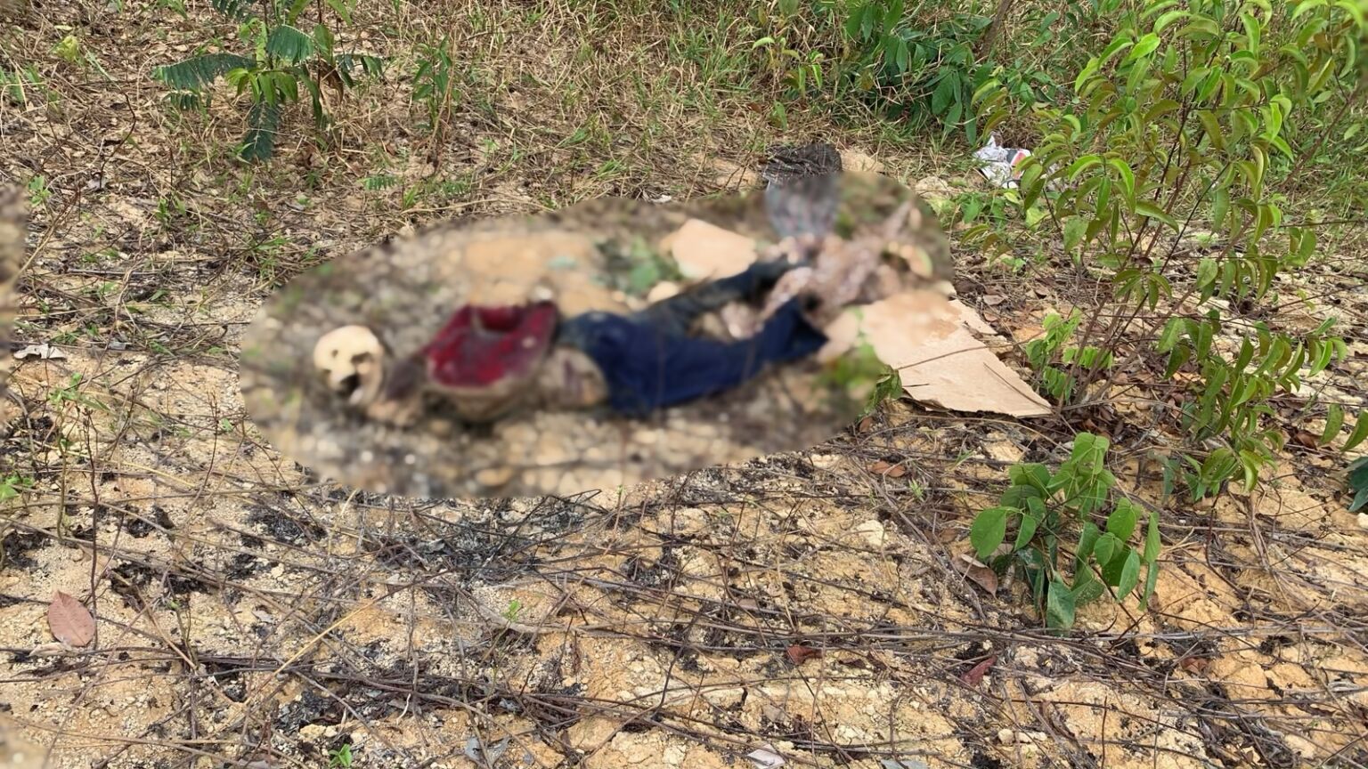 Corpo em decomposição é encontrado no ramal do Brasileirinho