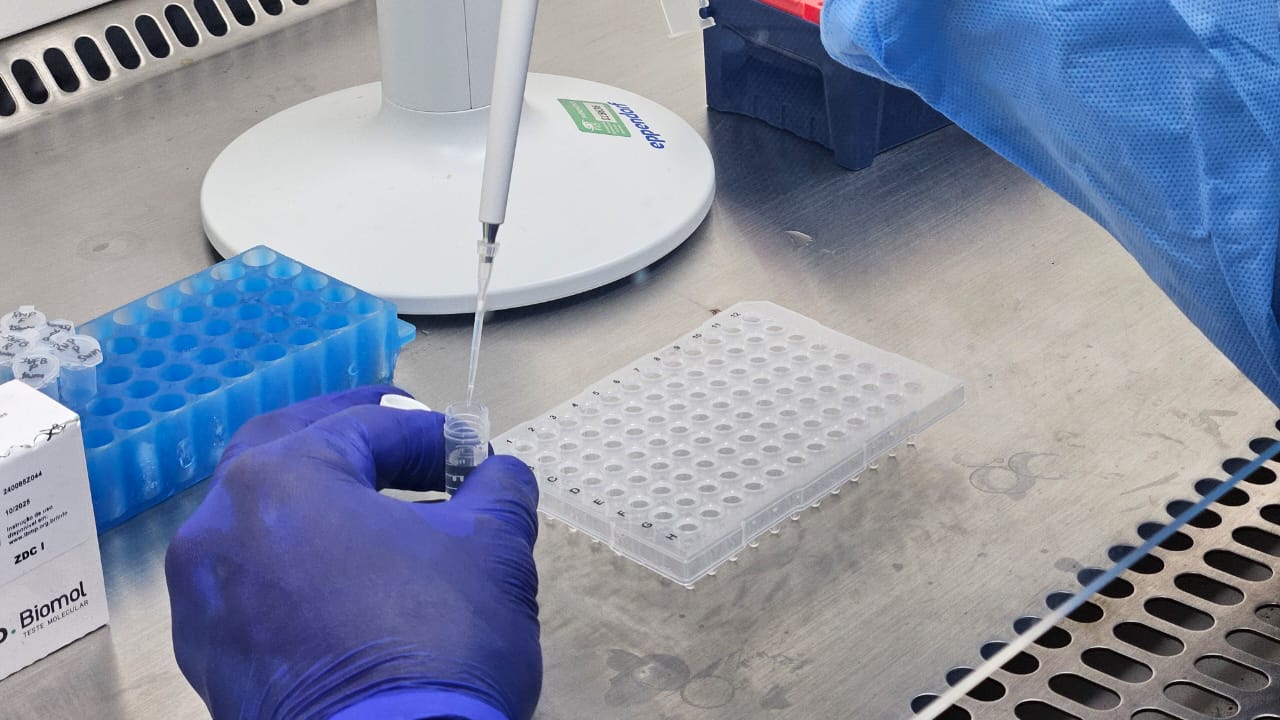 Casos de vírus respiratórios caem 4% no Amazonas, aponta boletim da FVS-RCP