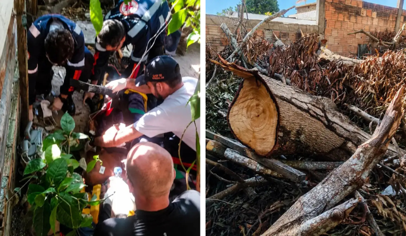 Idoso morre após ser atingido por tronco de árvore no Grande Vitória