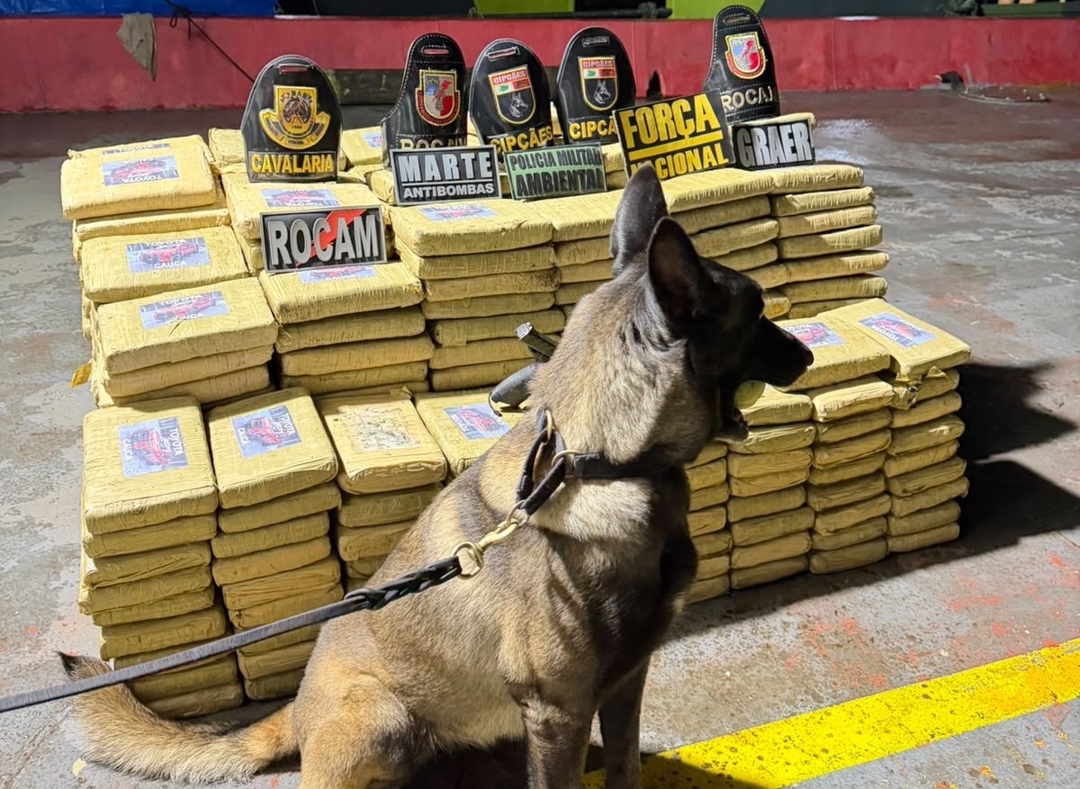 Operação apreende mais de 600 quilos de skunk no interior do AM
