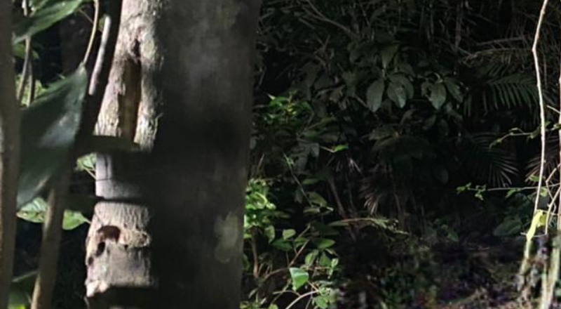 Homem é executado pelo tribunal e desovado na Colônia Santo Antônio