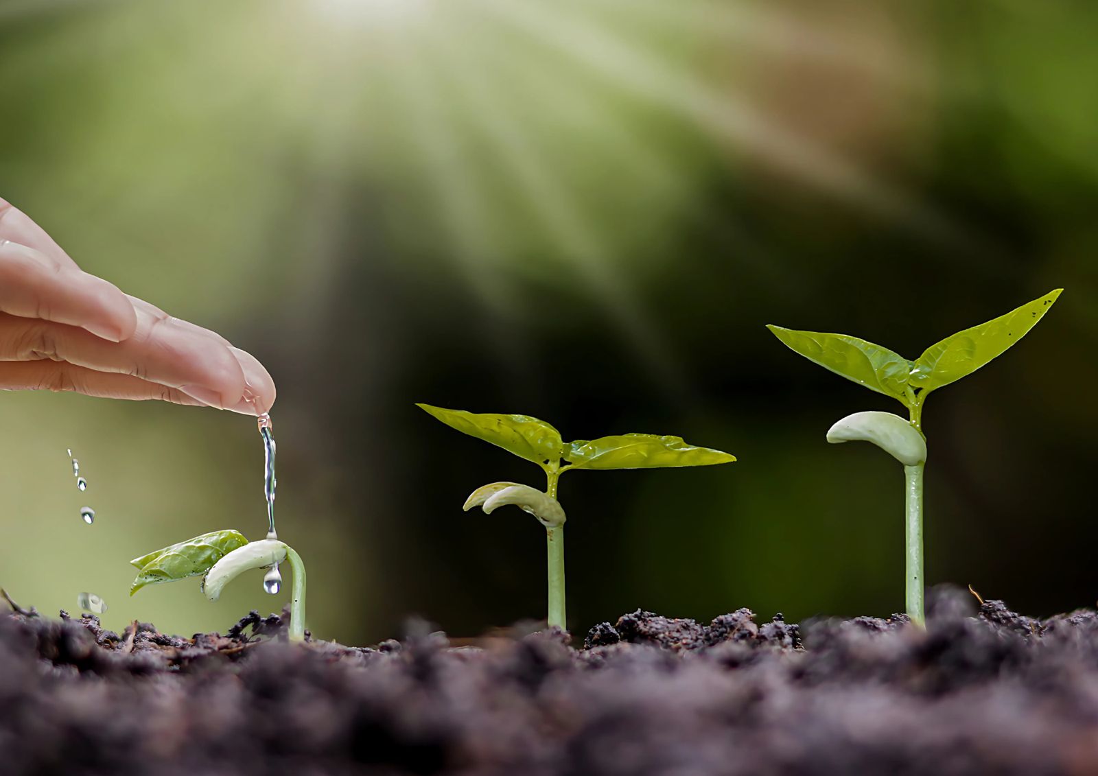 Amazontech 2025 debate sustentabilidade e geração de renda para comunidades indígenas