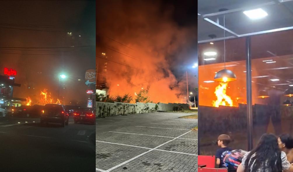 Vídeos: incêndio atinge área de mata na Avenida das Torres